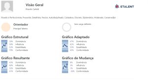 Relatório Completo Disc  Talento - Etalent (Crédito para 1 Relatório)